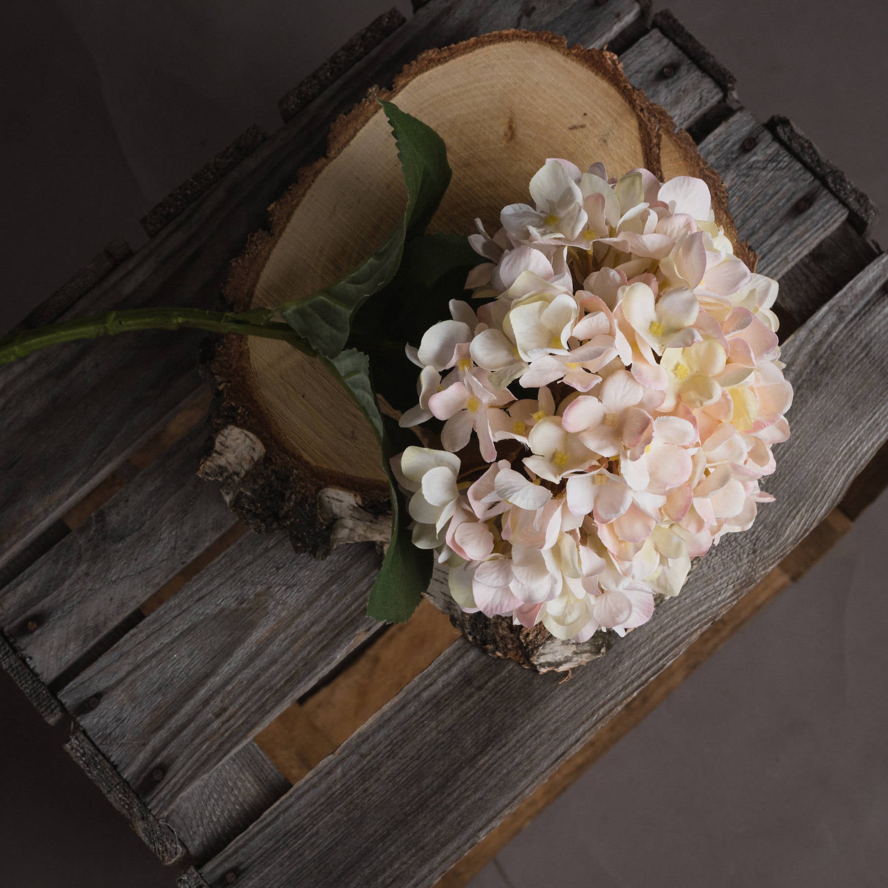 Autumn White Hydrangea - hus & co.