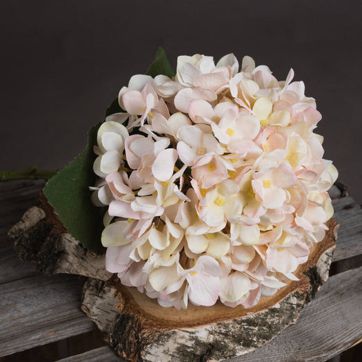 Autumn White Hydrangea - hus & co.