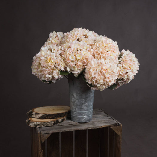 Autumn White Hydrangea - hus & co.