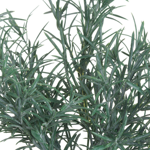 Rosemary Bush Filler - hus & co.