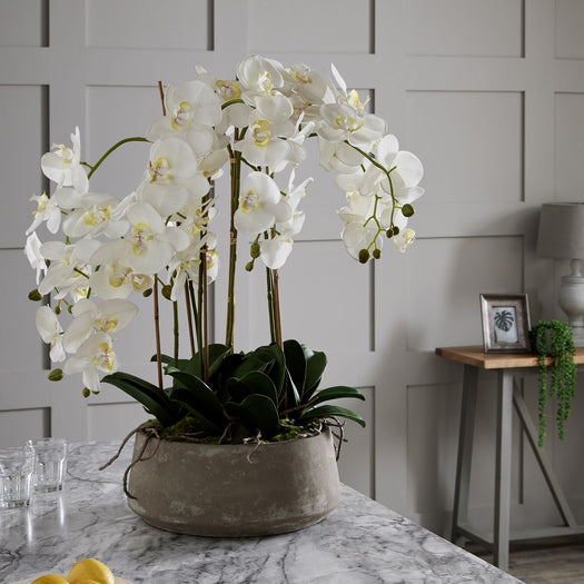 Large White Orchid In Stone Pot - hus & co.