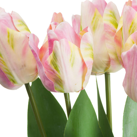 Pink & Green Tulip - hus & co.