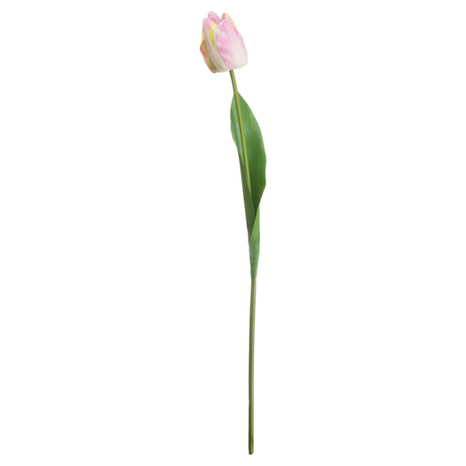 Pink & Green Tulip - hus & co.