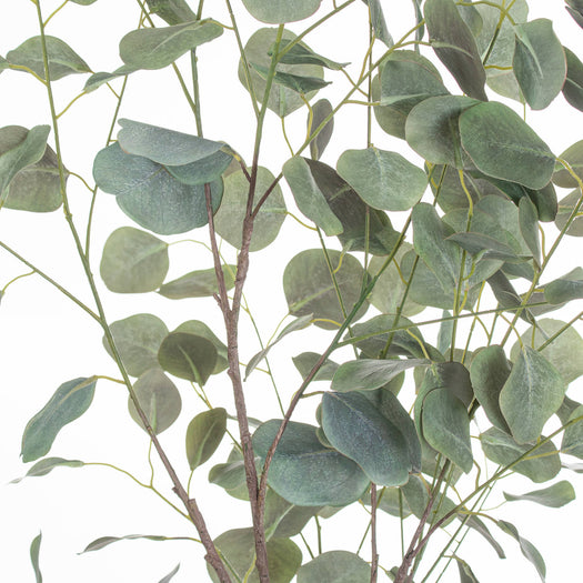 Large Eucalyptus Tree In Metallic Pot - hus & co.