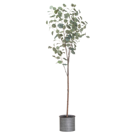 Large Eucalyptus Tree In Metallic Pot - hus & co.