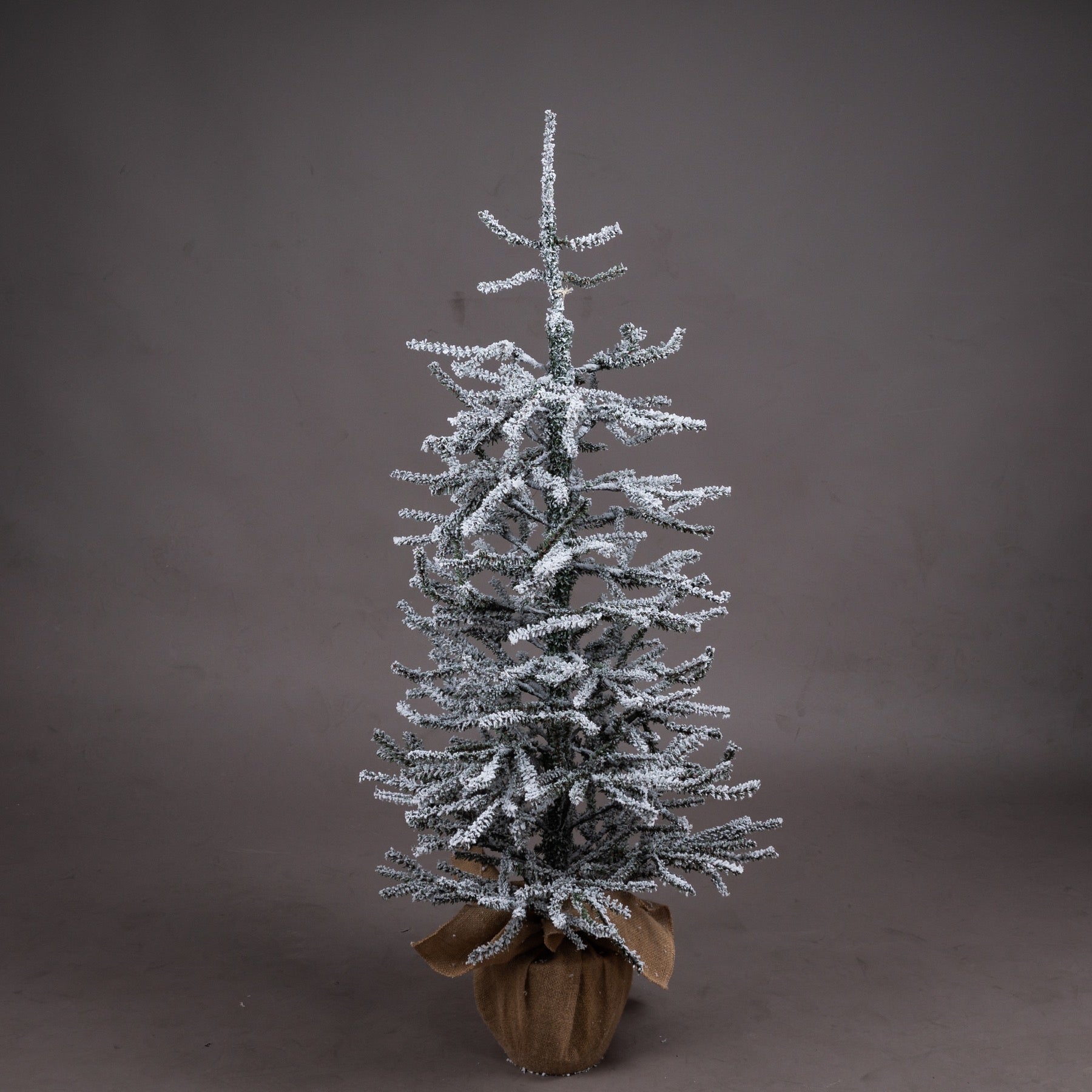 Medium Frosted Mini Tree - hus & co.