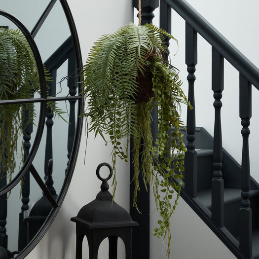 Fern Hanging Basket Arrangement - hus & co.