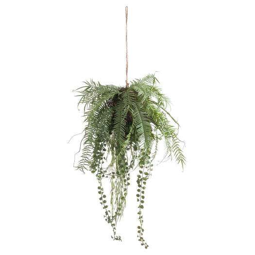 Fern Hanging Basket Arrangement - hus & co.