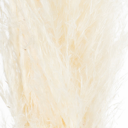 Cream Pampas Grass Stem - hus & co.