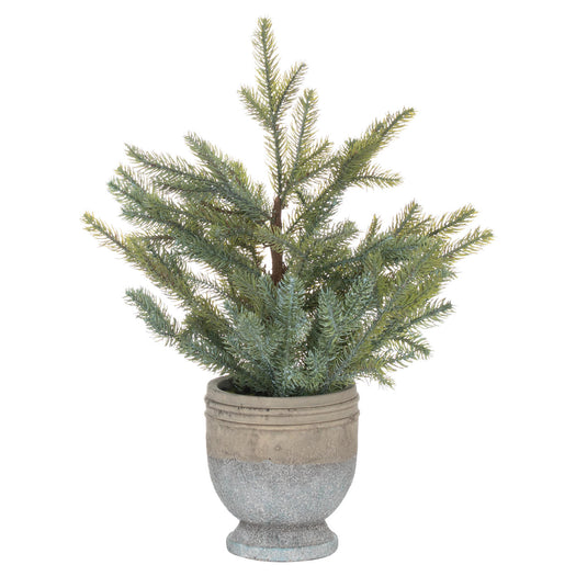 Garda Pine Tree In Stone Pot - hus & co.