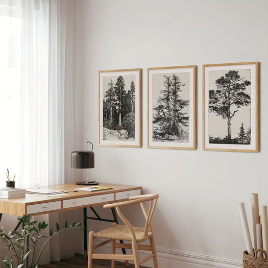 Set of 3 Vintage Tree Sketch Canvas Prints - HUS & CO.