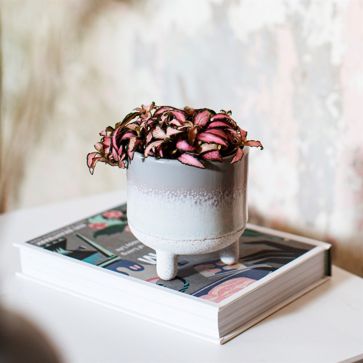 Mojave Glaze Grey Planter - hus & co.